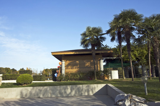 上海 浦東 現(xiàn)代建筑 世紀(jì)公園