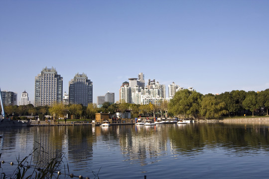 上海 浦東 現(xiàn)代建筑 世紀公園
