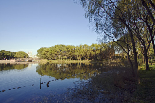 上海 浦東 現(xiàn)代建筑 世紀(jì)公園