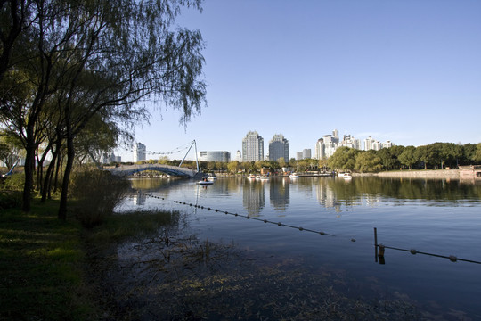 上海 浦東 現(xiàn)代建筑 世紀(jì)公園