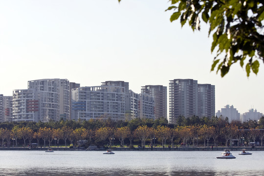 上海 浦東 現(xiàn)代建筑 世紀(jì)公園