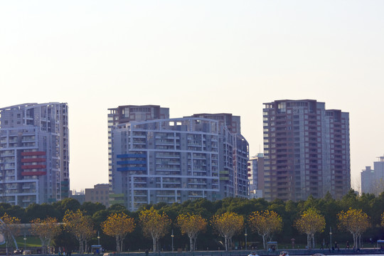 上海 浦東 現(xiàn)代建筑 世紀(jì)公園
