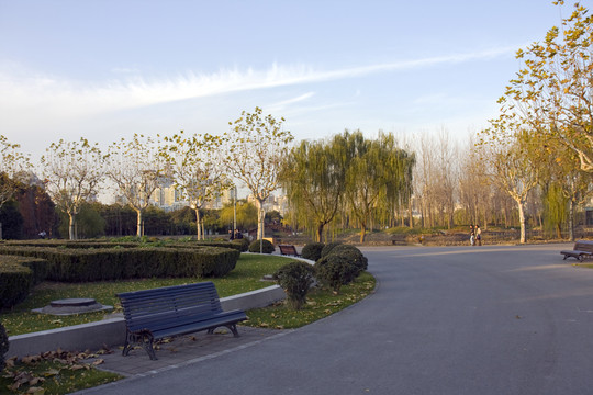上海 浦東 世紀公園 休閑場所