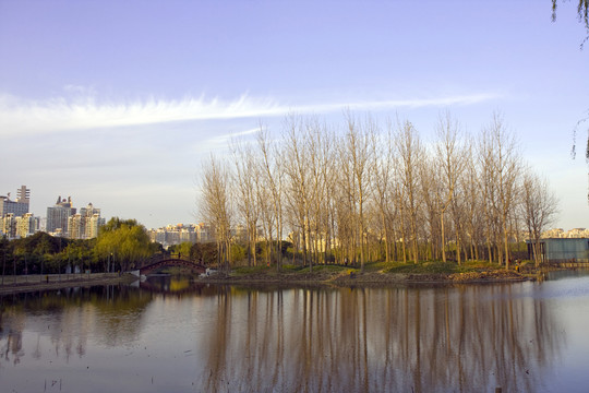 上海 浦東 世紀(jì)公園 休閑場(chǎng)所