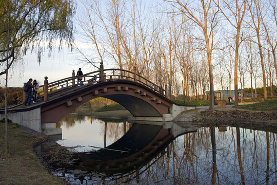上海 浦東 世紀公園 休閑場所