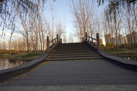 上海 浦東 世紀(jì)公園 休閑場所