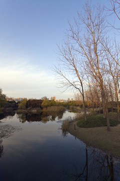 上海 浦東 世紀公園 休閑場所