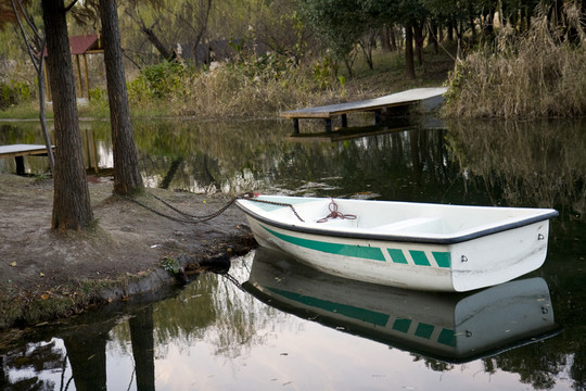 上海 浦東 現(xiàn)代建筑 世紀公園