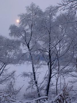雪景 冬景 雪野 冰雪 樹掛