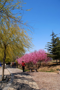 公園