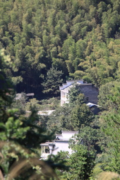 深山住宅
