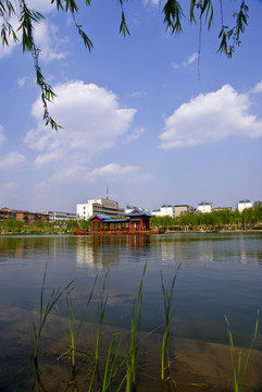 水景公園
