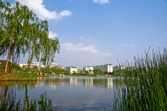 公園