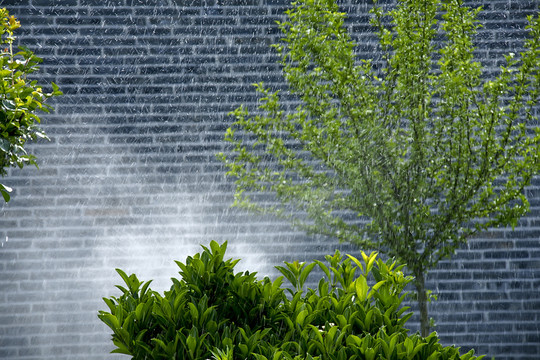 水霧 綠色植物