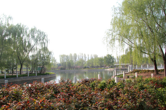 春景