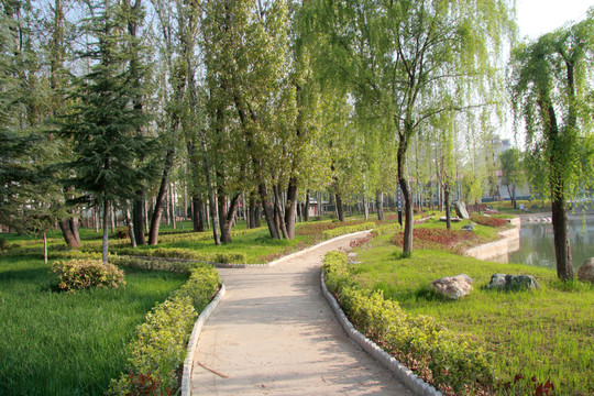 綠草地