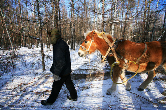 大興安嶺役馬圖