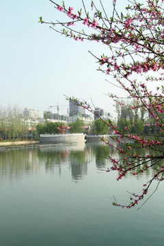 春天的風(fēng)景