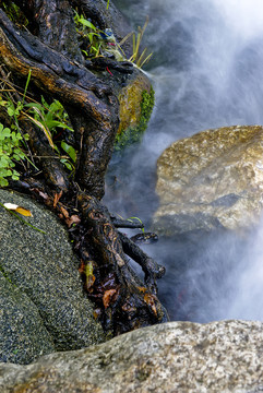 石頭 水霧