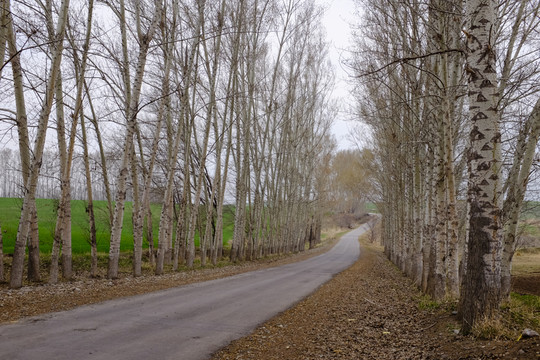 路