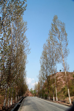 道路