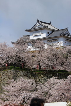 日本津山城