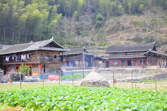 田園山村