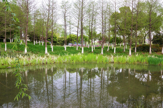 景點(diǎn) 景區(qū)