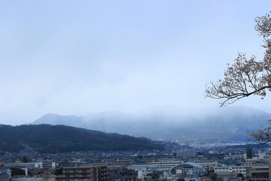 高山云霧