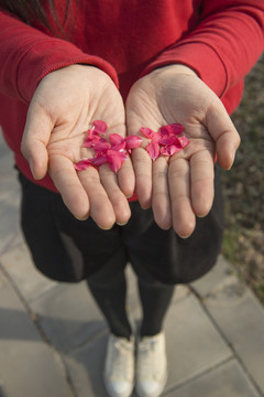 雙手捧花瓣