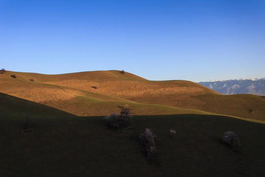綠山坡