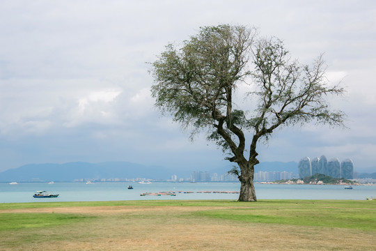 海南三亞大東海