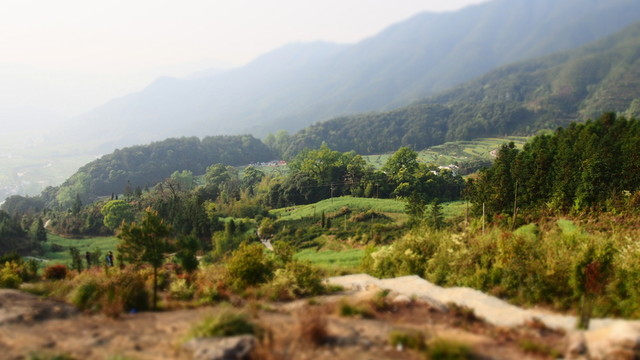 江嶺梯田