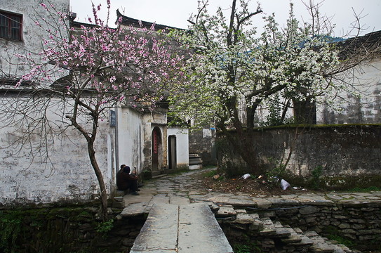 橋頭春景圖