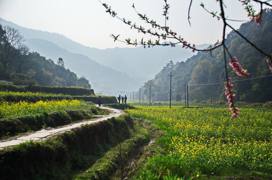 彎彎小路