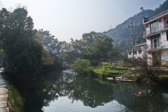 我家村頭