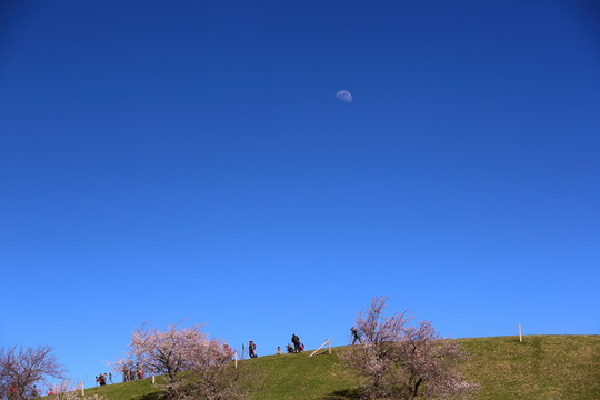杏花溝