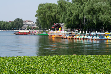 荷塘公園