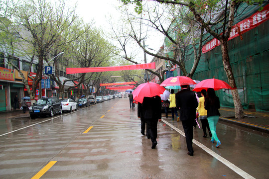雨中即景