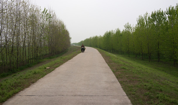 路