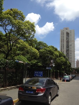 上海 浦東 都市 現(xiàn)代建筑