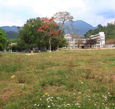 學(xué)校