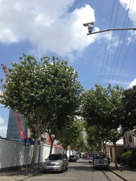 上海 浦東 都市 街道