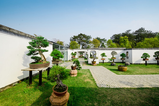 安徽歙縣鮑家花園
