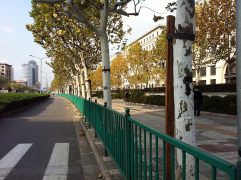 上海 浦東 都市街道 現(xiàn)代建筑