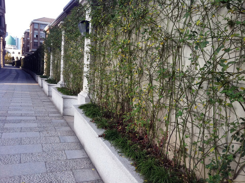 上海 浦東 都市街道 現(xiàn)代建筑