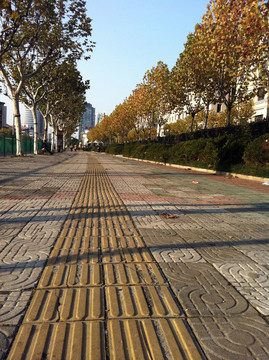 上海 浦東 都市街道 現(xiàn)代建筑