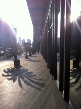 上海 浦東 都市街道 現(xiàn)代建筑