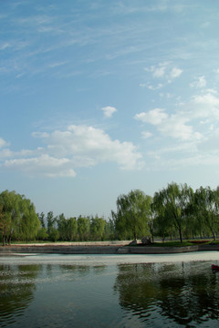 春光