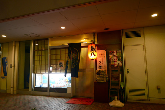 千葉縣夜景